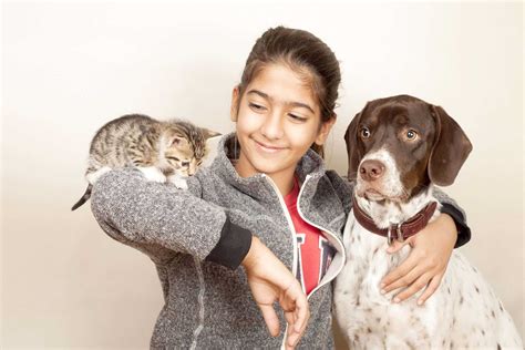 Cats And Dogs 7 Tips For A Good Life Together Tractive Blog