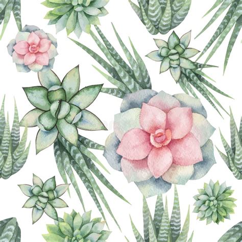 Watercolor Vector Seamless Pattern Of Cacti And Succulent Plants