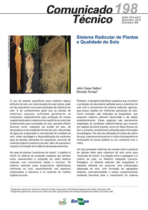 Sistema Radicular De Plantas E Qualidade Do Solo O Uso De Plantas