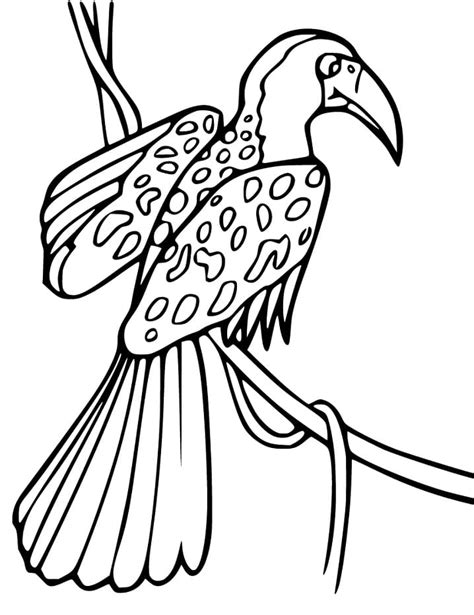Coloring Pages Hornbill Mandala Colouring Template Adult Wolf