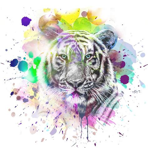 Tiger Paint Splashes Stock Illustrations 192 Tiger Paint Splashes