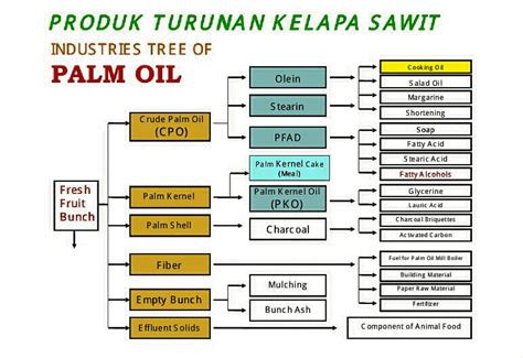 Sertifikat Rantai Pasok Rspo Roundtable Sustainable Palm Oil Tsa
