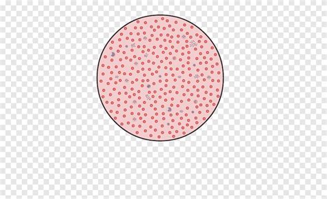 Red Blood Cell White Blood Cell Platelet Complete Blood Count Red