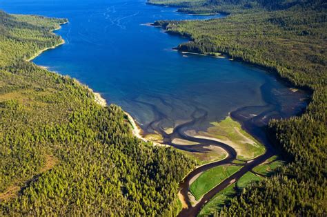 Take Action Alaskas Tongass National Forest Is At Risk The