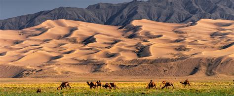 Gobi Desert And Central Mongolia Tour Perfect Tour For First Timers