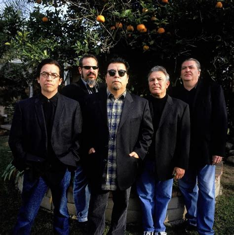Members Of Los Lobos Are Still Hungry Like The Wolves