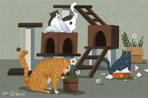 10 Weird Cat Behaviors And Quirks Explained