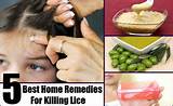 Home Remedies For Eggs Of Head Lice Photos