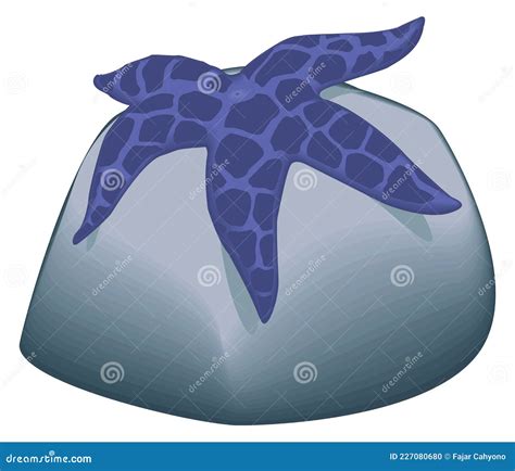 Purple Starfish Vector Illustration Transparent Background Stock Vector