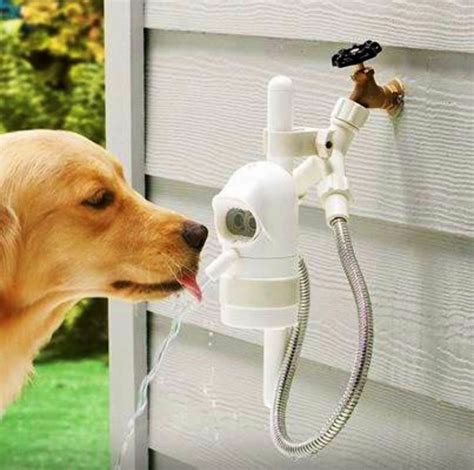 Bebedero Para Mascotas Automático Agua Fresca Y Limpia Todo El Día