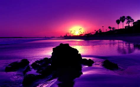 Purple Sunset Wallpaper Nature And Landscape Wallpaper