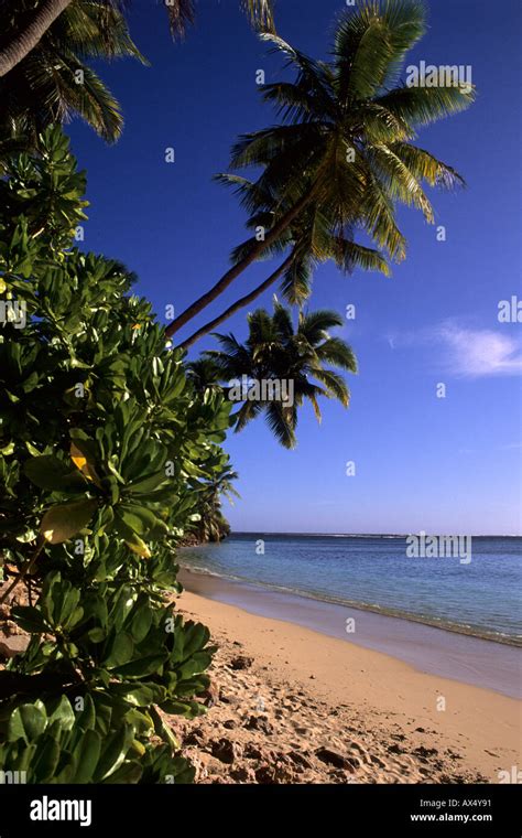 Beautiful Beach And Palms Nadi Bay Area In The Fiji Islands Stock Photo