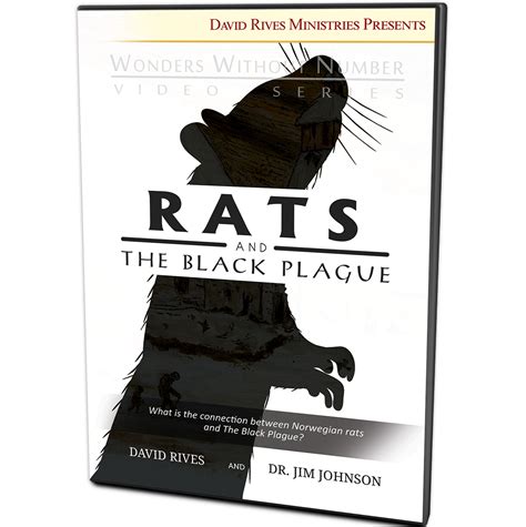 Rats And The Black Plague Wonders Without Number Video