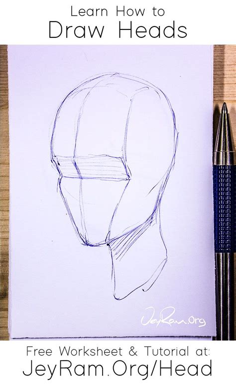 How To Draw A Human Head How To Do Thing