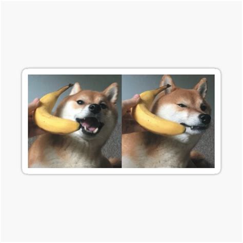 Doge Banana Phone Meme Pink Background Sticker For Sale By