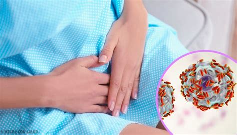 Vaginosis Bacteriana Causas S Ntomas Y Tratamiento Mejor Con Salud The Best Porn Website