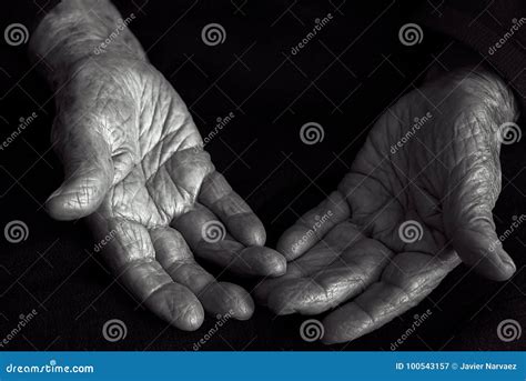 Old Hands In Black And White Stock Image Image Of Woman Hands 100543157