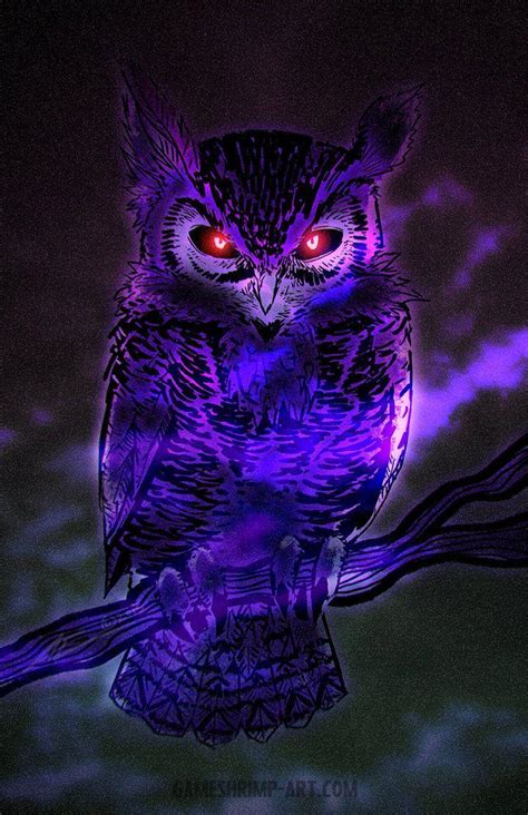 Night Owls Wallpapers Wallpaper Cave