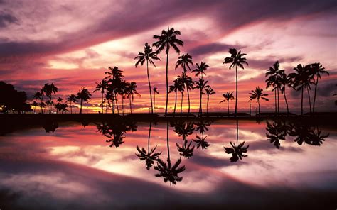 Sunset Over Ala Moana Beach Park Honolulu Oahu Hawaii  For Your