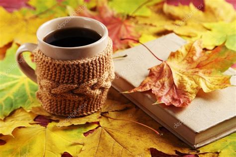 Autumn Leaves With Cup Of Coffee And Book — Stock Photo © 5seconds