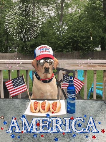 Fourth of july dog 30099 gifs. Independence Day Usa GIF by Justin - Find & Share on GIPHY