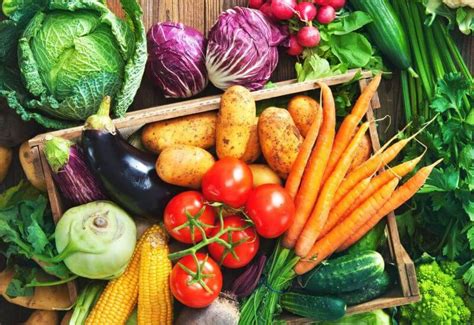 √ 10 Aneka Jenis Sayur Sayuran Hijau Paling Sehat And Kaya Nutrisi