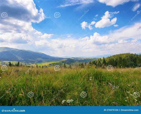 Nature Scenery With Hills And Meadows Stock Photo Image Of Hill