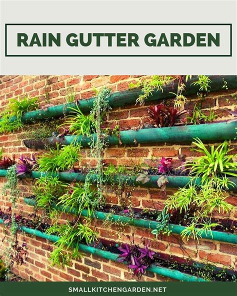 Easy And Neat Rain Gutter Garden Ideas Indoor And Outdoor Design