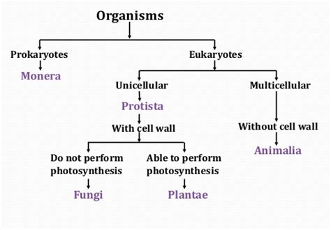 Diversity In Living Organisms Class 9 Notes Science Chapter 7 Unique