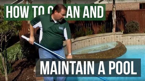 How To Clean And Maintain A Pool Youtube