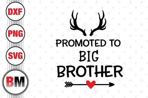 Promoted To Big Brother Svg Png Dxf Files By Bmdesign Thehungryjpeg
