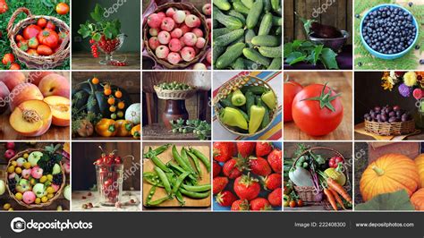 Collage Vegetables Berries Fruits Set Square Pictures You Can Make