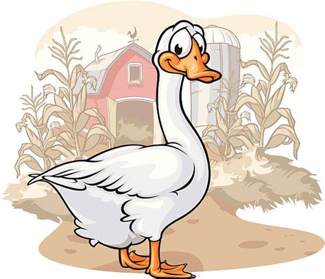 Goose Cartoon Stock Photos Pictures And Royalty Free Images Istock