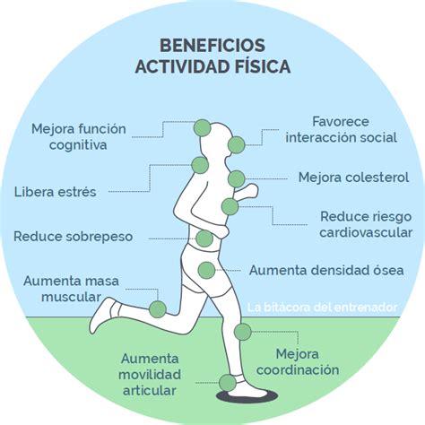 ¿qué Es La Actividad Física