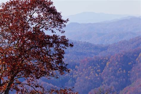 Appalachian Mountains At Sunset And Autumn Foliage Stock Photo Image