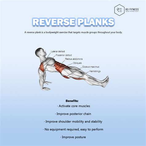 4 Benefits Of Reverse Plank R3 Fitness