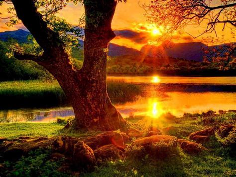 Resting Spot Nature Sunset Beautiful Landscapes