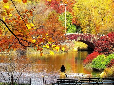 Autumn Paradise Central Park Nyc By Alberto Dejesus Redbubble