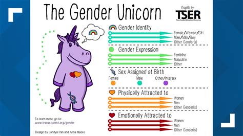 Worksheet Asked California Middle Babeers About Gender Identity