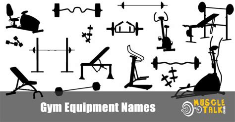 Gym Equipment Names Guide Including The Muscles They Work
