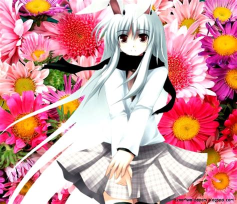 Anime Cutegirl Bunny Hd Wallpaper Zoom Wallpapers