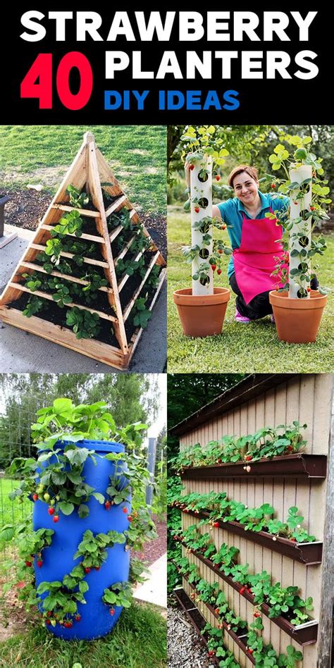 40 Diy Strawberry Planter Ideas For Container Planting