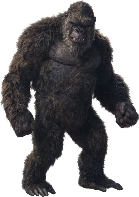 Kong Monsterverse Wiki Fandom