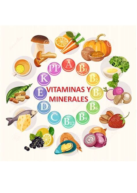 Mini Manual Las Vitaminas Y Minerales Funcion Y Fuentes Abulodegu