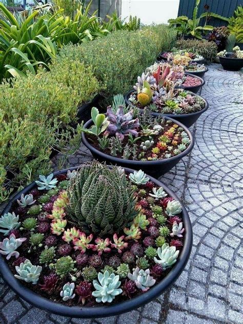 36 Awesome Succulent Front Yard Landscaping Ideas Succulent Gardening