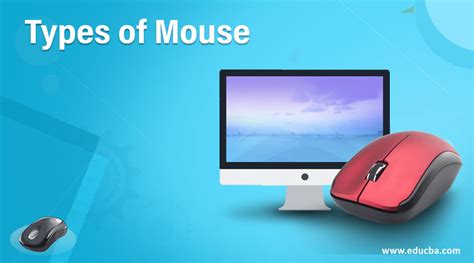 Types Of Mouse 9 Different Types Of Mouse In Detail