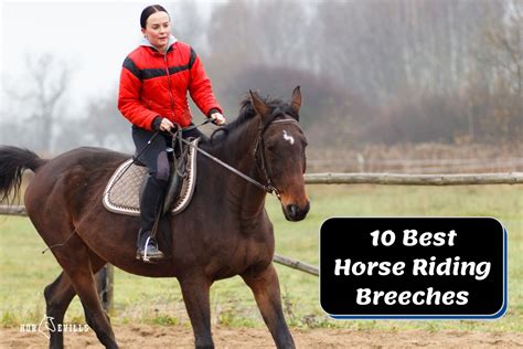 10 Best Riding Breeches For Equestrians 2023 Experts Review