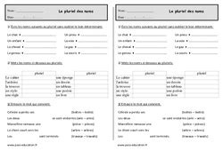 Accord Du Nom Pluriels Particuliers CE1 Cycle 2 Exercice