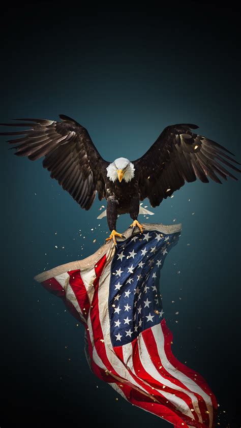 American Flag Eagle American Freedom American Heroes American