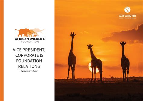 African Wildlife Foundation Vice President Corporate And Foundation